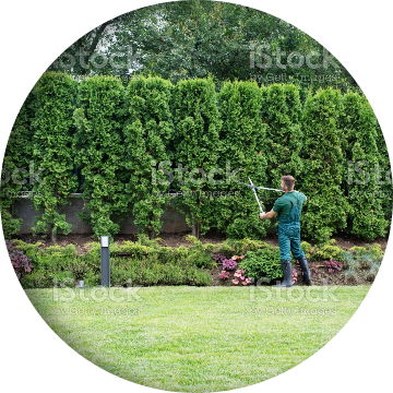 Gartenpflege